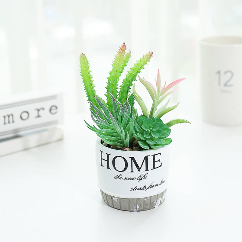 Home is life white pot with small green n pink flower